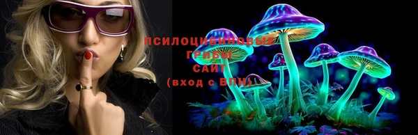 дмт Белоозёрский