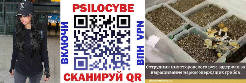 даркнет сайт  Колпашево  Псилоцибиновые грибы Magic Shrooms 